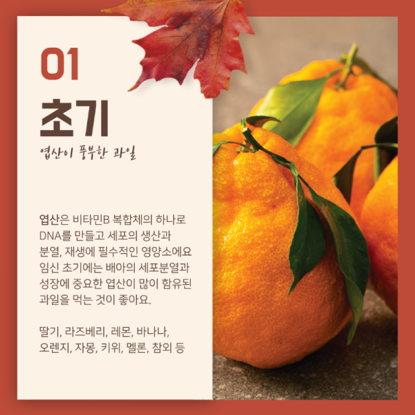 시기에맞는-과일-3.png