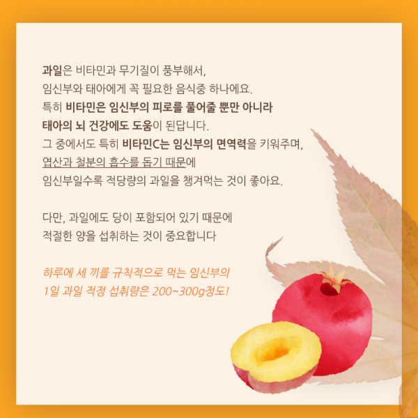 시기에맞는-과일-2.png