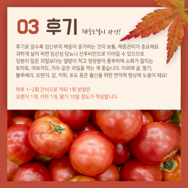 시기에맞는-과일-5.png