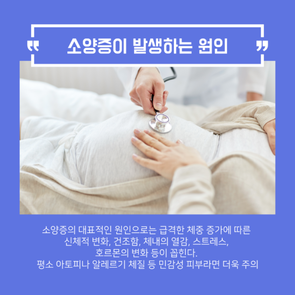 제목을-입력해주세요.-3.png