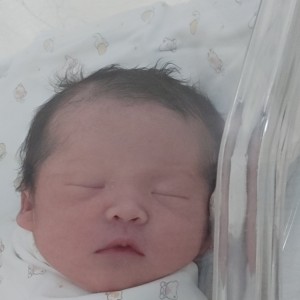 자연분만시도하다 결국 제왕