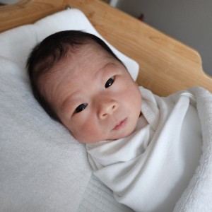 36주차 5일 조산했어요